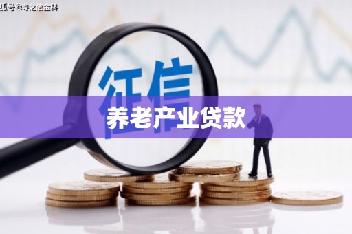 芦淞养老产业贷款