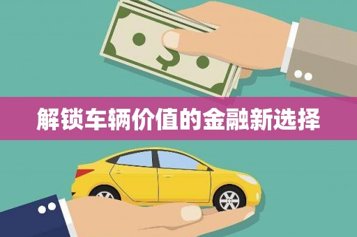 芦淞解锁车辆价值的金融新选择