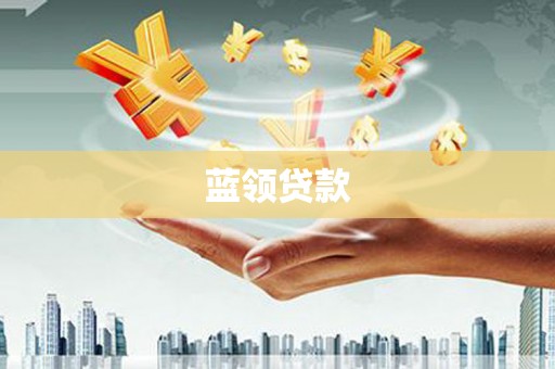 芦淞蓝领贷款