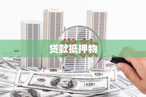 芦淞贷款抵押物