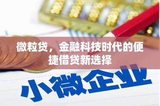 芦淞微粒贷，金融科技时代的便捷借贷新选择