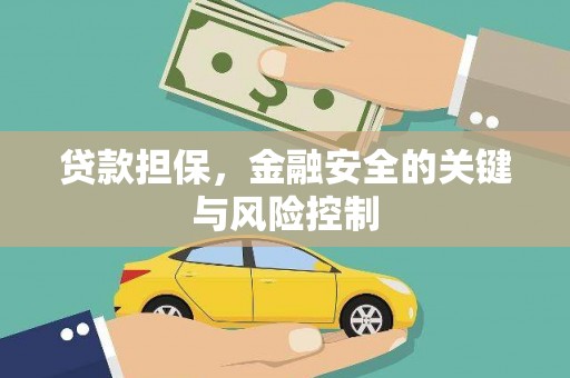 芦淞贷款担保，金融安全的关键与风险控制