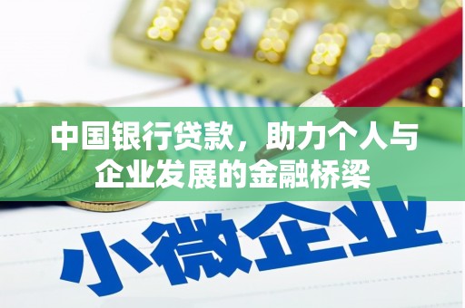 芦淞中国银行贷款，助力个人与企业发展的金融桥梁