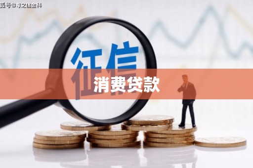芦淞消费贷款