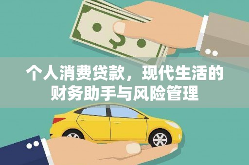 芦淞个人消费贷款，现代生活的财务助手与风险管理