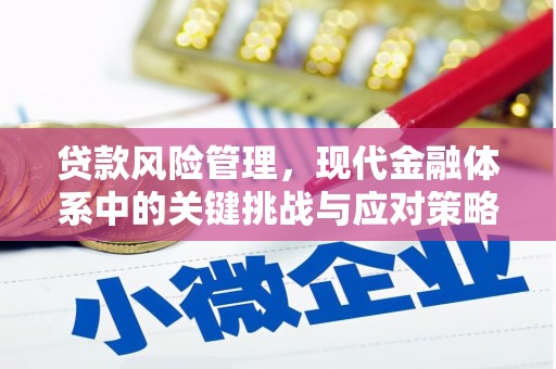 芦淞贷款风险管理，现代金融体系中的关键挑战与应对策略