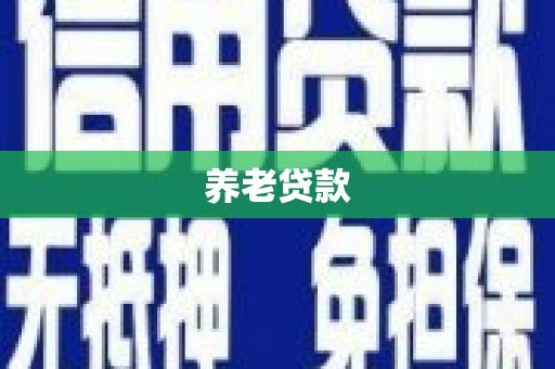 芦淞养老贷款