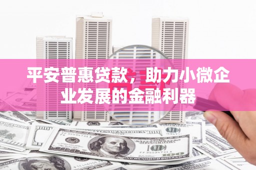 芦淞平安普惠贷款，助力小微企业发展的金融利器