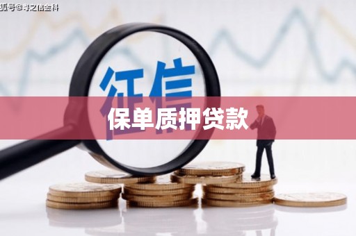 芦淞保单质押贷款
