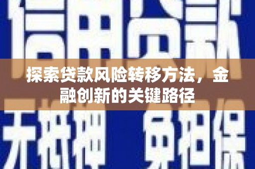 芦淞探索贷款风险转移方法，金融创新的关键路径
