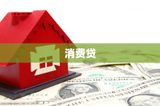 芦淞消费贷