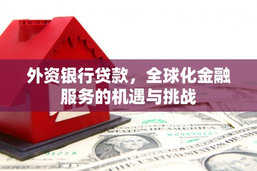 芦淞外资银行贷款，全球化金融服务的机遇与挑战