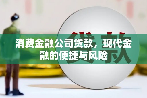 芦淞消费金融公司贷款，现代金融的便捷与风险