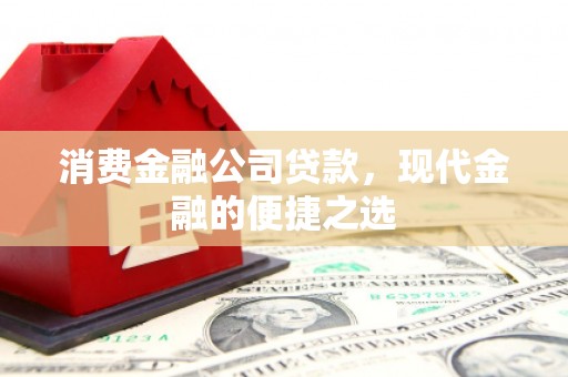 芦淞消费金融公司贷款，现代金融的便捷之选