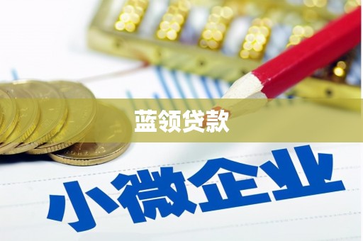芦淞蓝领贷款