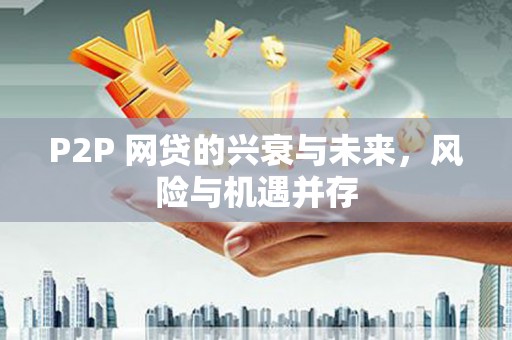 芦淞P2P 网贷的兴衰与未来，风险与机遇并存