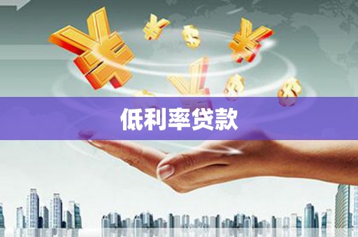 芦淞低利率贷款
