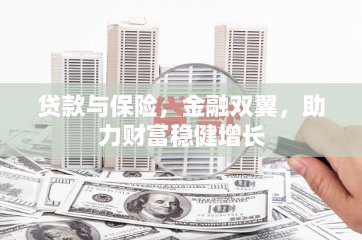 芦淞贷款与保险，金融双翼，助力财富稳健增长