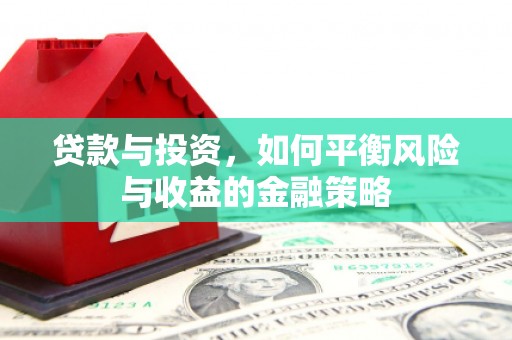 芦淞贷款与投资，如何平衡风险与收益的金融策略