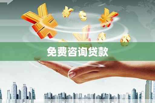 芦淞免费咨询贷款