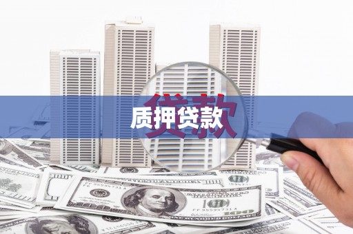 芦淞质押贷款