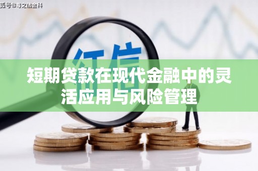 芦淞短期贷款在现代金融中的灵活应用与风险管理