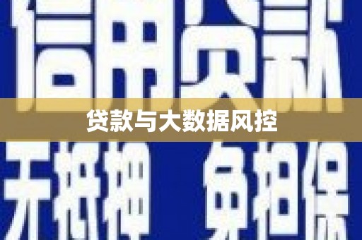 芦淞贷款与大数据风控