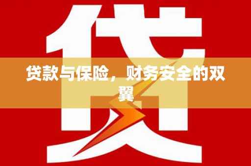 芦淞贷款与保险，财务安全的双翼