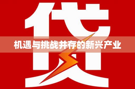 芦淞机遇与挑战并存的新兴产业