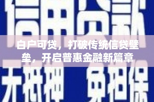 芦淞白户可贷，打破传统信贷壁垒，开启普惠金融新篇章