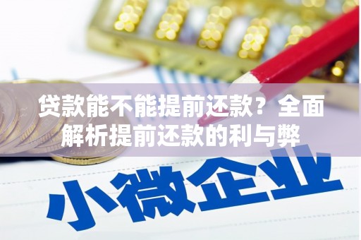 芦淞贷款能不能提前还款？全面解析提前还款的利与弊