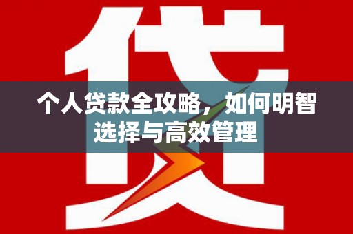 芦淞个人贷款全攻略，如何明智选择与高效管理