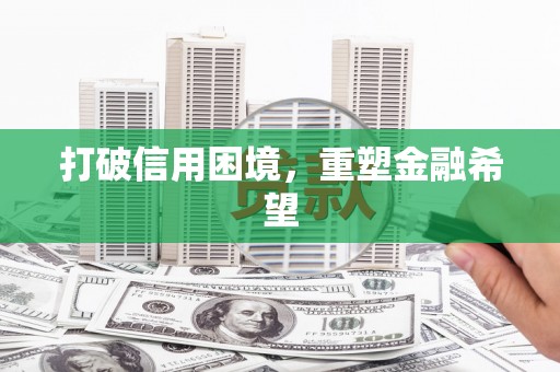 芦淞打破信用困境，重塑金融希望