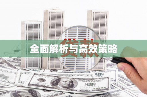 芦淞全面解析与高效策略