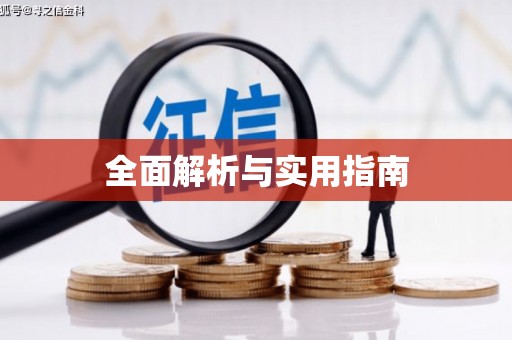 芦淞全面解析与实用指南