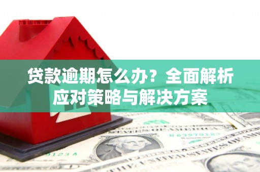 芦淞贷款逾期怎么办？全面解析应对策略与解决方案