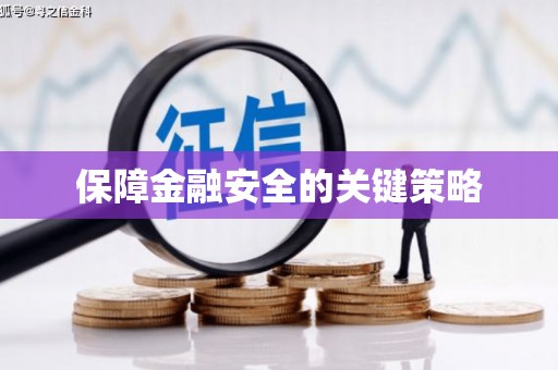 芦淞保障金融安全的关键策略