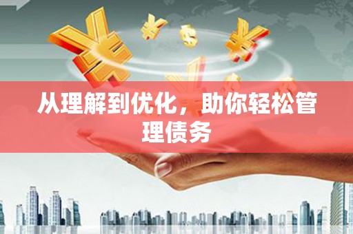 芦淞从理解到优化，助你轻松管理债务