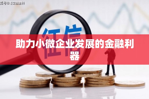 芦淞助力小微企业发展的金融利器