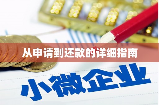 芦淞从申请到还款的详细指南
