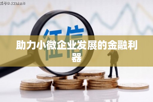 芦淞助力小微企业发展的金融利器