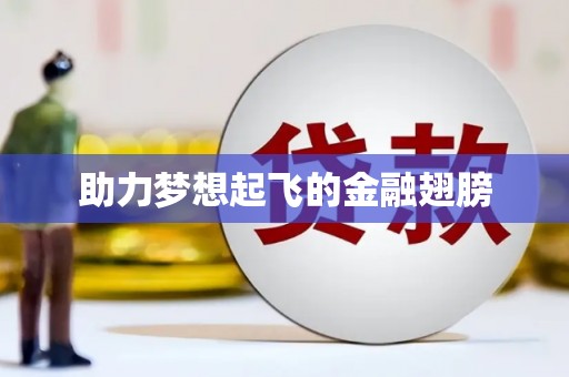 芦淞助力梦想起飞的金融翅膀