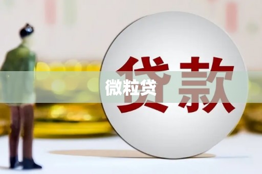 芦淞微粒贷