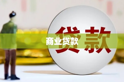 芦淞商业贷款