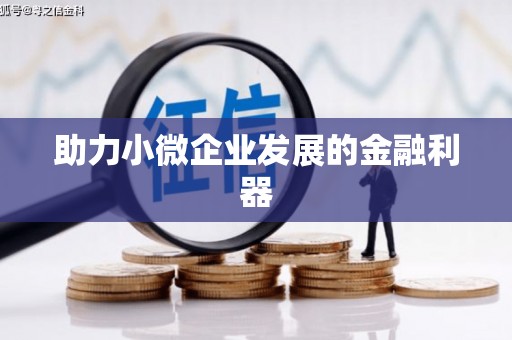芦淞助力小微企业发展的金融利器