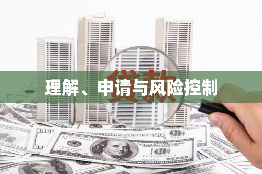 芦淞理解、申请与风险控制