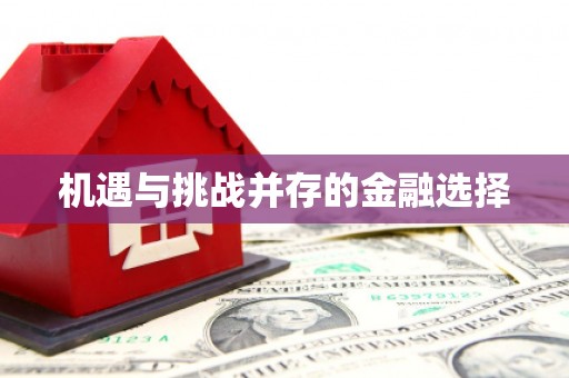 芦淞机遇与挑战并存的金融选择