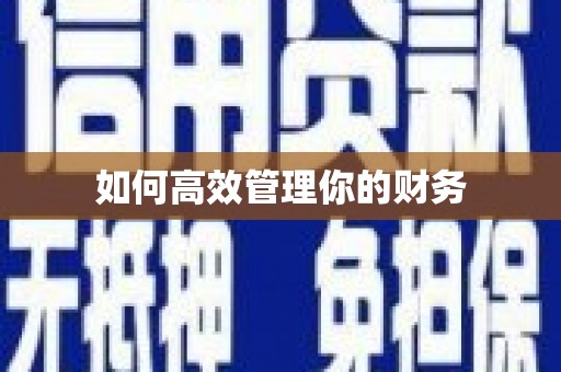 芦淞如何高效管理你的财务