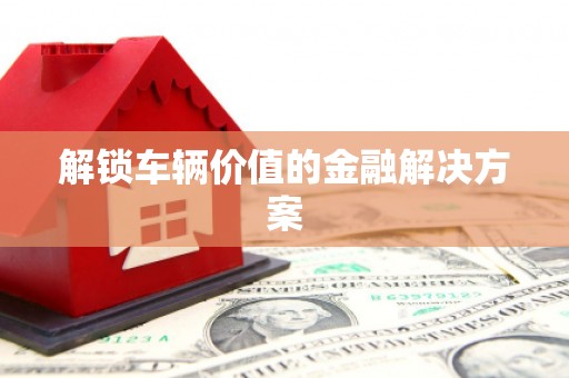 芦淞解锁车辆价值的金融解决方案