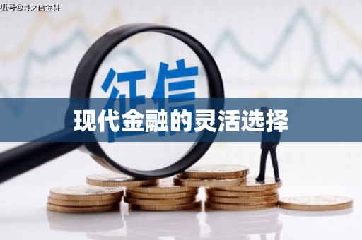 芦淞现代金融的灵活选择